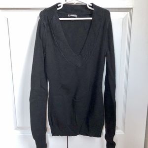 Express Fitted V-Neck Sweater